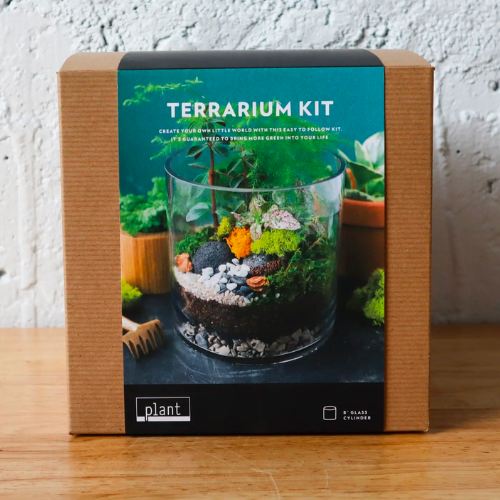 Introduction To Terrariums