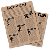 The Art of Bonsai